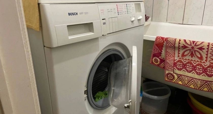  12   :  50       