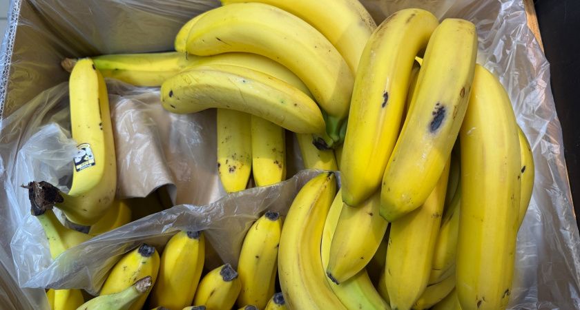 Для чего все продавцы "Магнитов" и "Пятёрочек" забирают себе из ящиков с бананами маленькие незаметные пакетики?