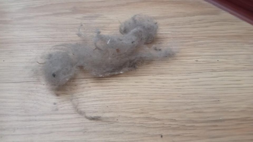    :     