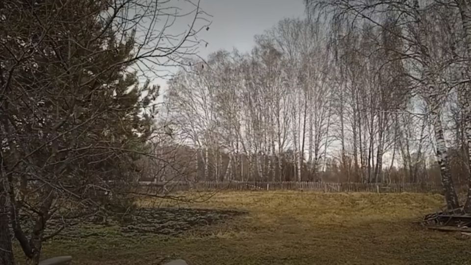    : ,    