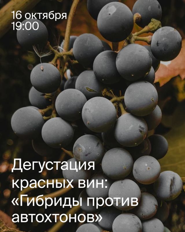     :     