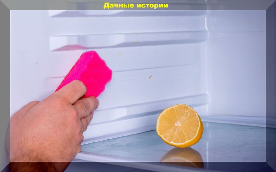      :     