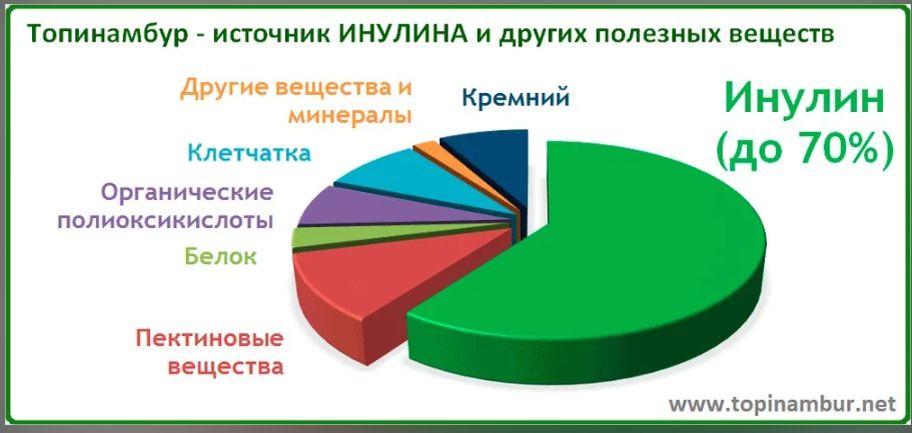 Топинамбур: полезный корнеплод, который стоит попробовать