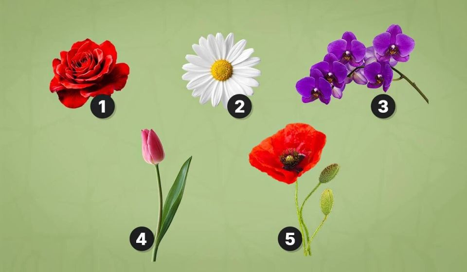 Как цветочные предпочтения раскрывают тайны вашей личности