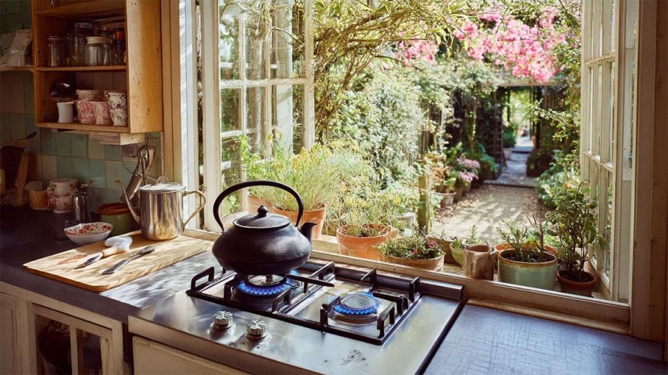 Как провести газ на дачу без лишних затрат: подробная инструкция