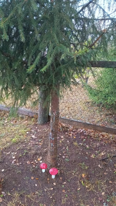 Как находить радость в жизни на пенсии: секреты активного существования