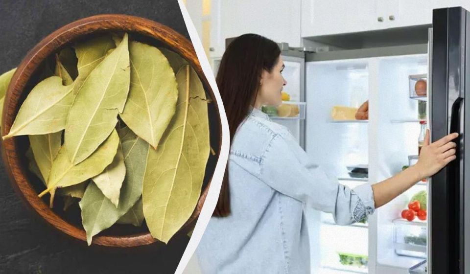Лавровый лист: природное решение для чистоты и свежести на кухне