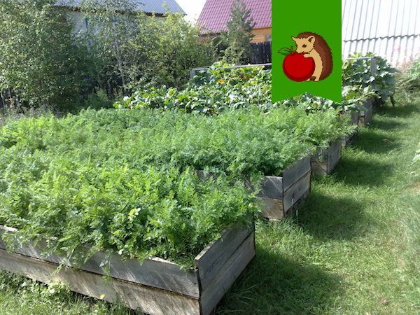 ��� ������� ������ ����� �������� ������ � ������� ���������