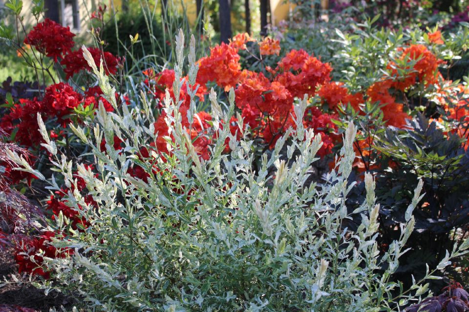 Промо-юбилей: 500 публикаций и неожиданные итоги