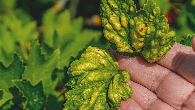 ��� �� ���������: �������� ���� ���������� ������ �������� ������ ��� �����