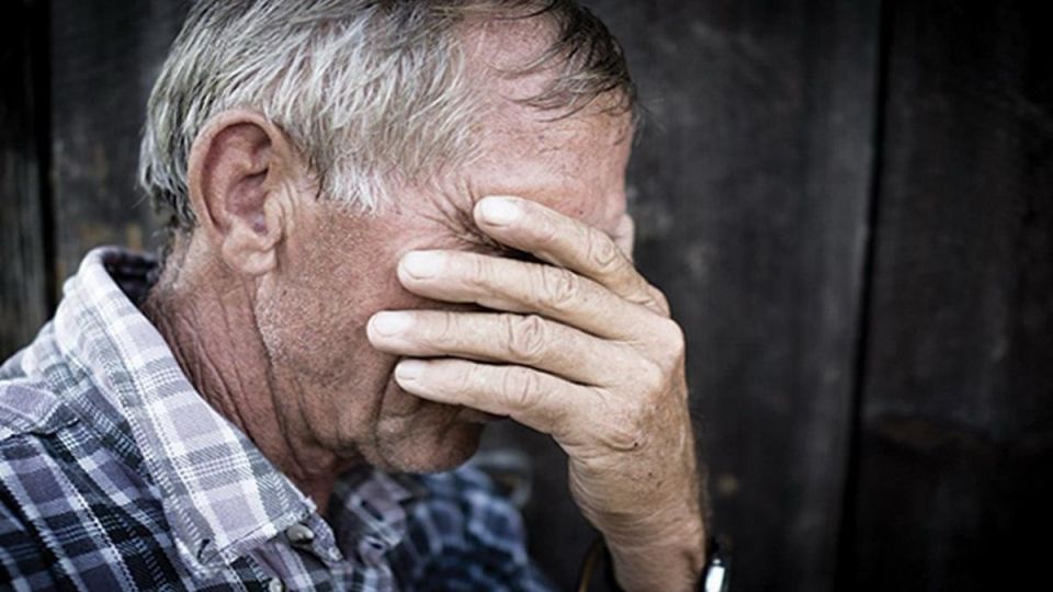 ���������-��������� ���� ������� �������������: ��� ������� ���������� �������