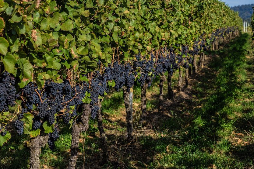 ���������� ����������: ��� ����� ������������� ������� ��������� �������������� �������� ����