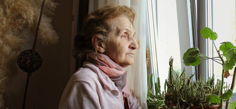 Пенсионерка с миллионной недвижимостью: как тёща потеряла бизнес из-за зятя