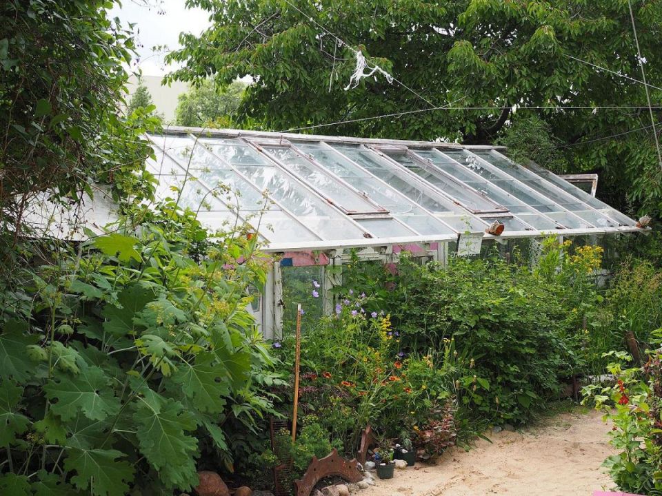 ��� ��������� ����� � �������: ������� ������ ��� ������ �������