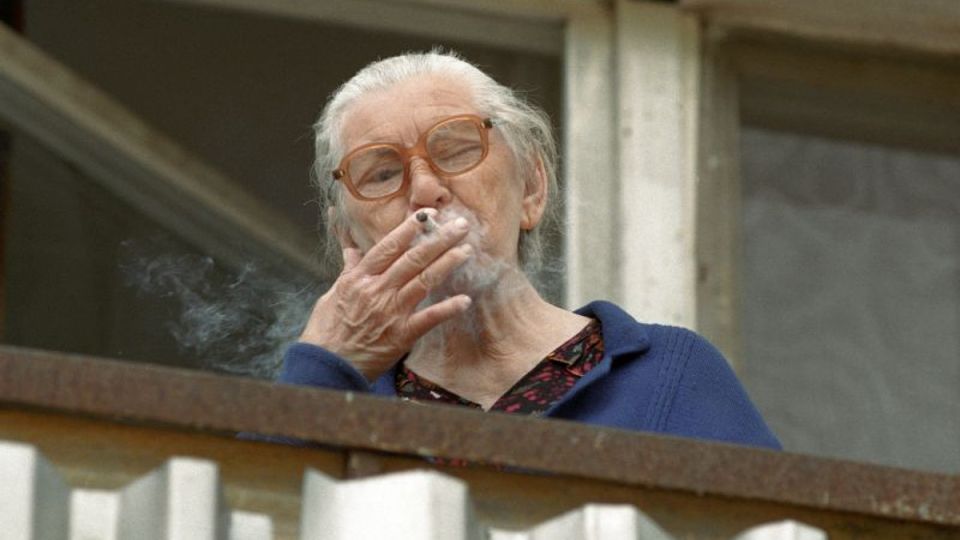 ������� �� �������: ������ �������� ��� ������� ������