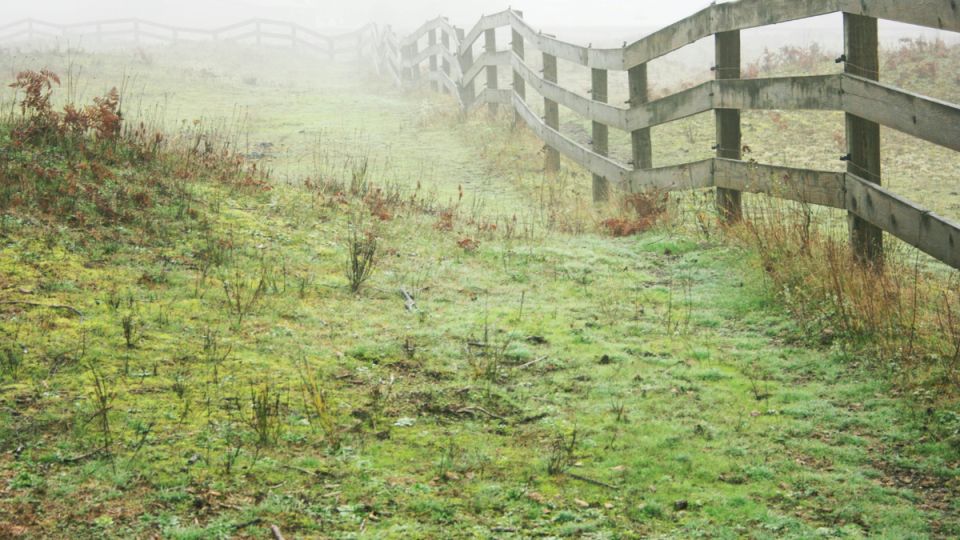 ����������� ������ ��� ���������� ������� �����: ���� ����� ������������