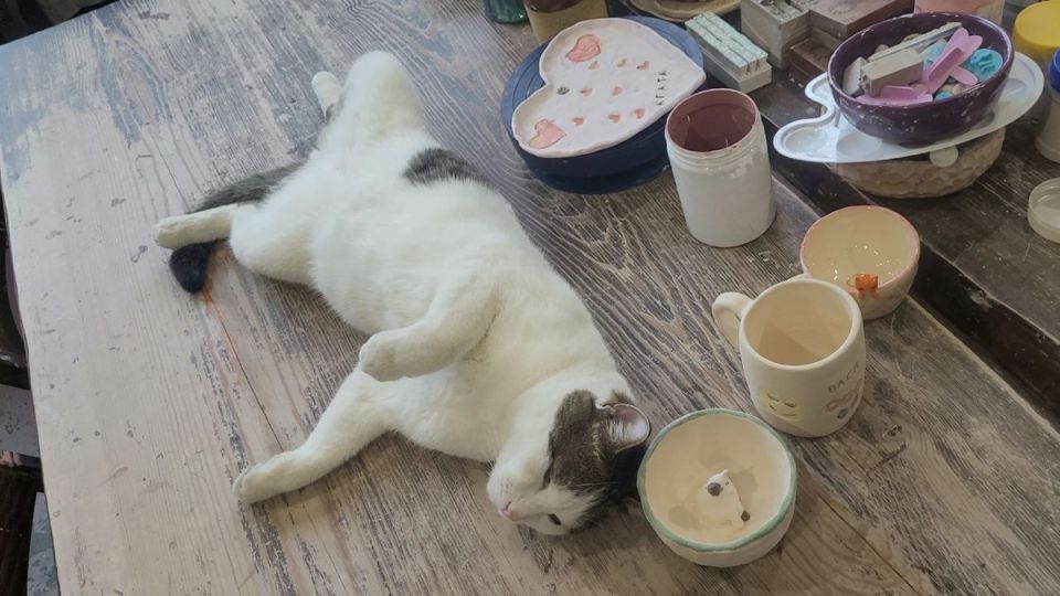 ��� ��� ������� ���� ����� ���������� ���������� � ������