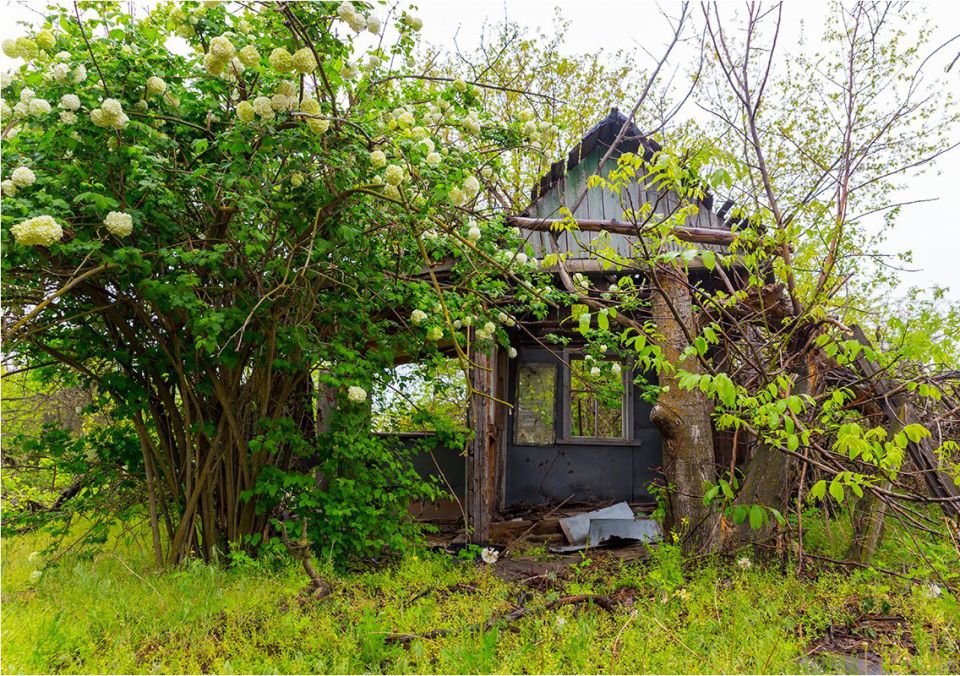 ��� ���� ���������� ����������� ��������? ����� ������� �������� ��������