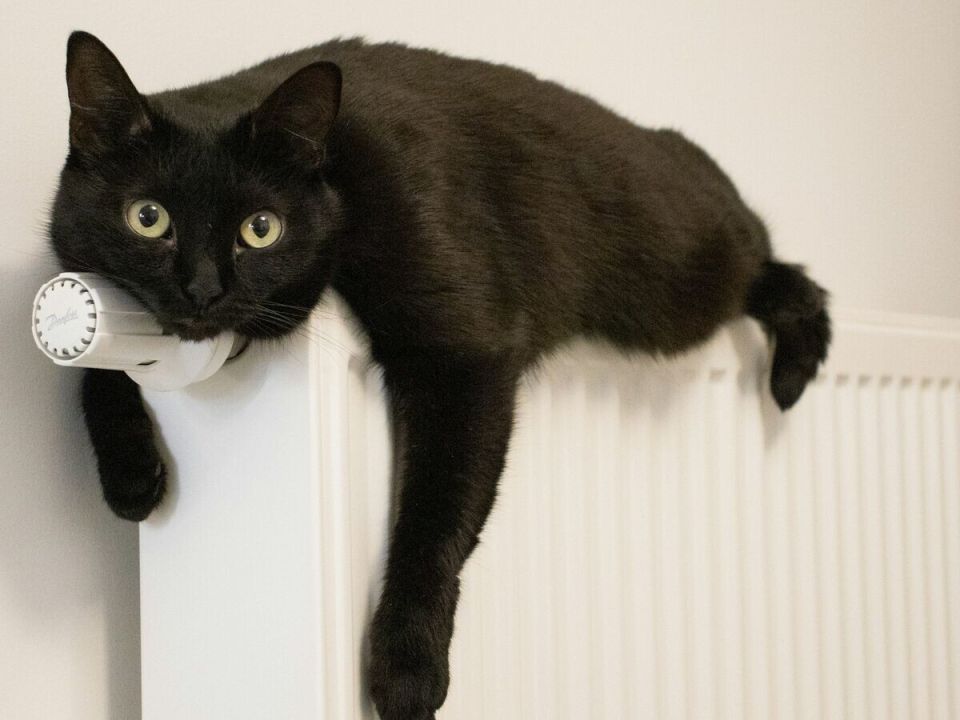 ������ �� ������ ���������� �������� �������� ����� ������� �� 300 ����� ������