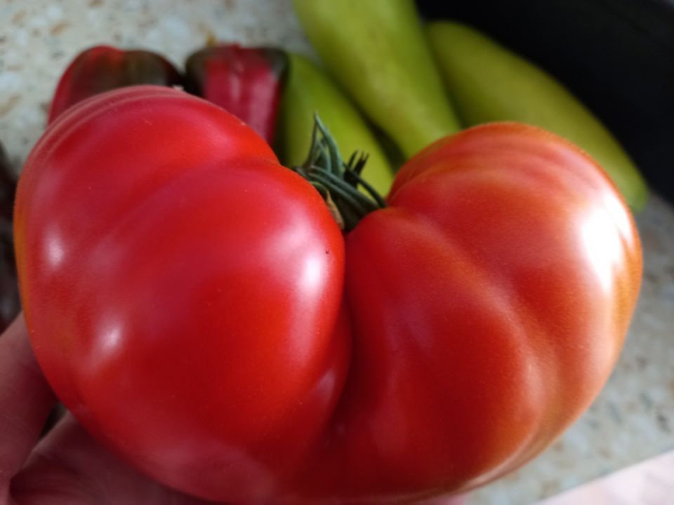 ������, �������� � ������: ��� ������� 2026 ���� ����������� � �������