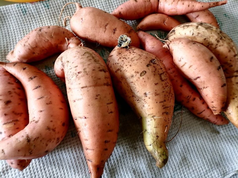 ��� ��������� ����� � ������: ������� � ������ ��� ����������