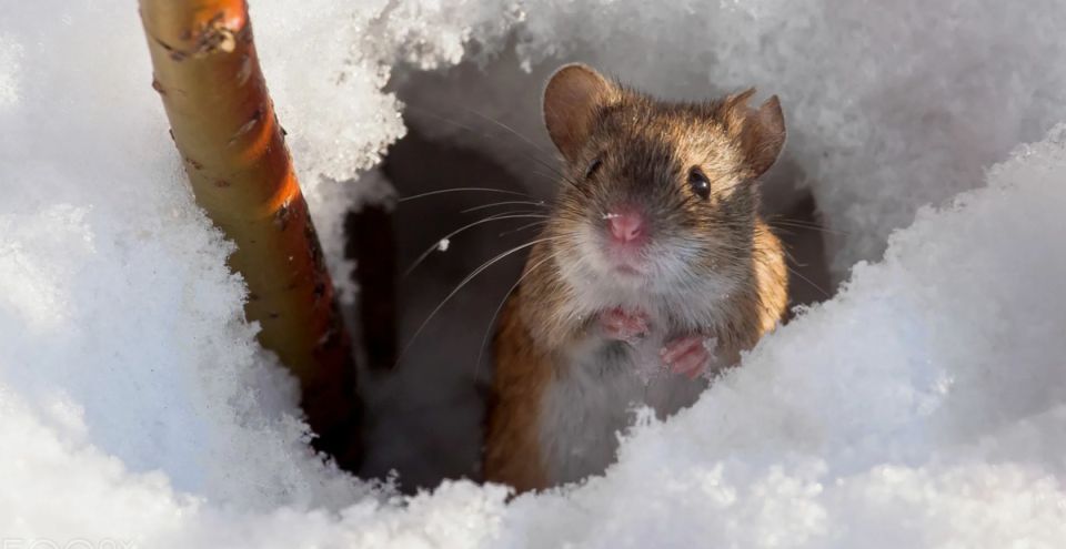 ��� ������ ���� ��� �� ������ �����