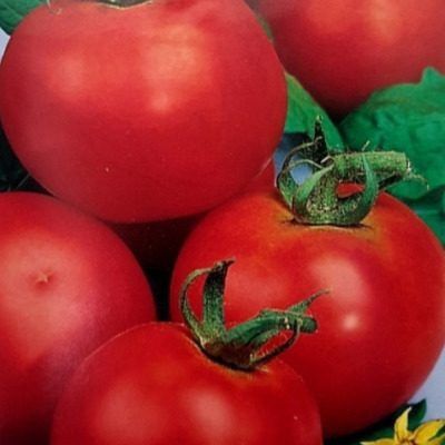 ����� �����: ������� ��������� ������ ����� �� ������� � � ����