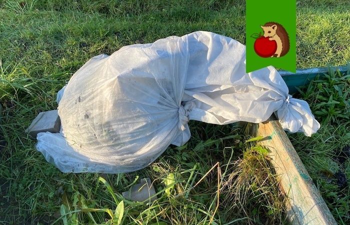 ��������� ���� ������� ������ ���� ������, ����� �� �������� ������