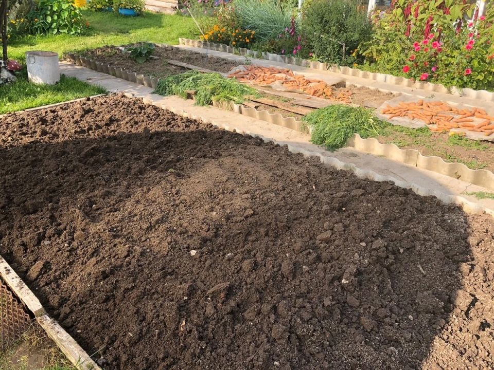 ��� ������ ��������� �����, ����� ��� ���� �����������, ��� ����