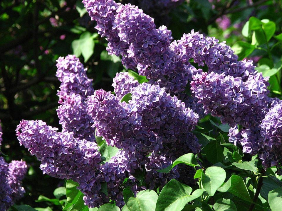 ������� ���������: ����� �������� ������, � ����� �������� � ��������