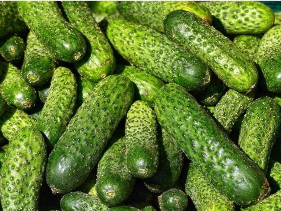 ��������� �����: ������� ��������� �� ����