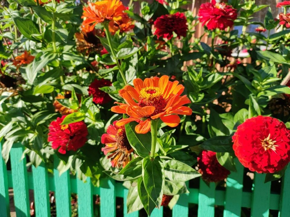 ��� ���������� ���� � �������� ����� ����� �� �����: 9 ������� ��������