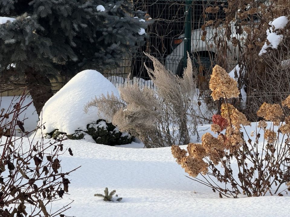 ������ ������������ ���������: ������� ��������� ����������