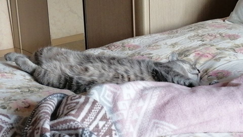 ���������: ��� �������� ����� �������� ������ ����� ������