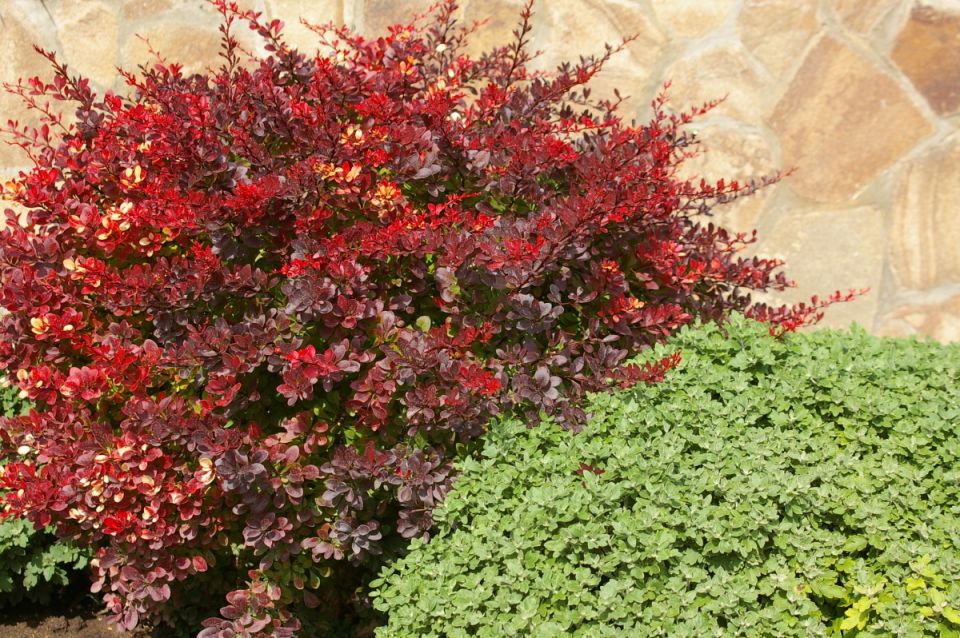 ������������� ���������� ��� �������� ���������� ����������