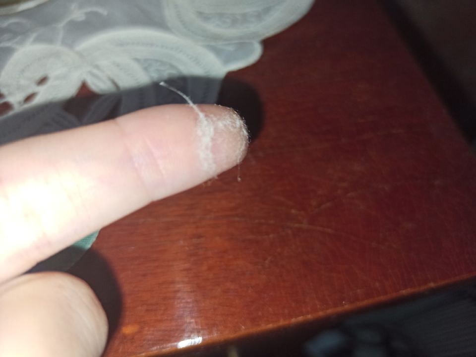 � ���� ��������� ���� �������� � ������������ �������