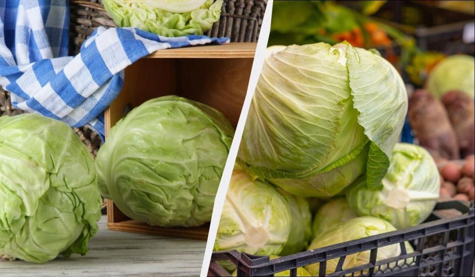 ��� ��������� ������� ������ ��� �������: ������� ������� �� ������� �����