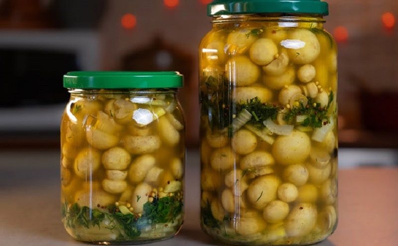 ��������-������������ ����������: ������� ���� � ������� �������