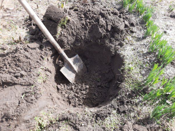 ��� �������� ����� ���, ����� ��� ����� ����� � �������� ����