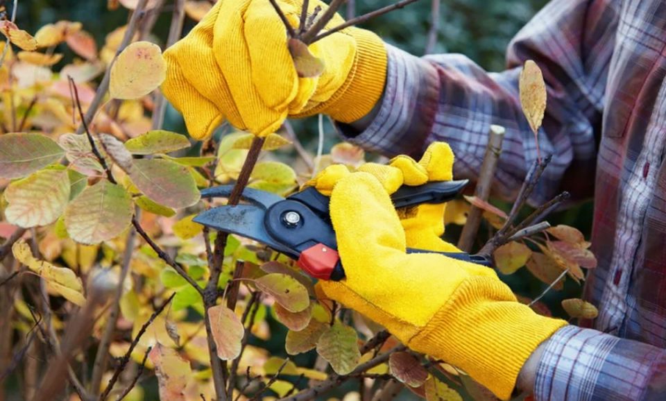 ������� ������� ��� ��������: ����� �������� � ��� �� �����������