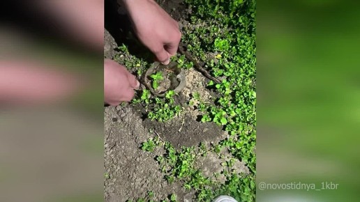        ,  -  