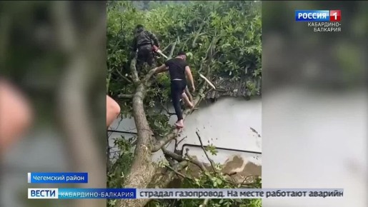 Ветер валил деревья, ливень бил по дорогам… Стихия обрушилась сегодня на республику