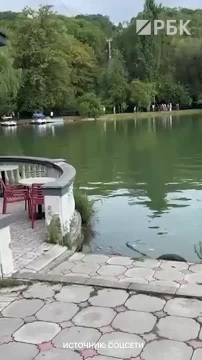  ,    