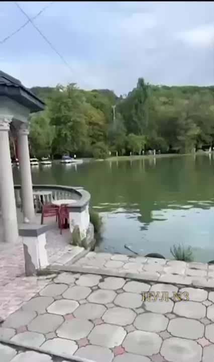     :
