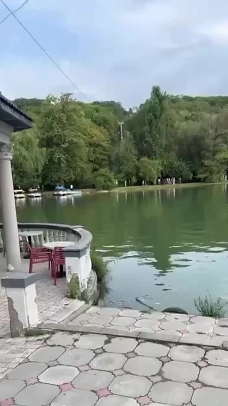    .          