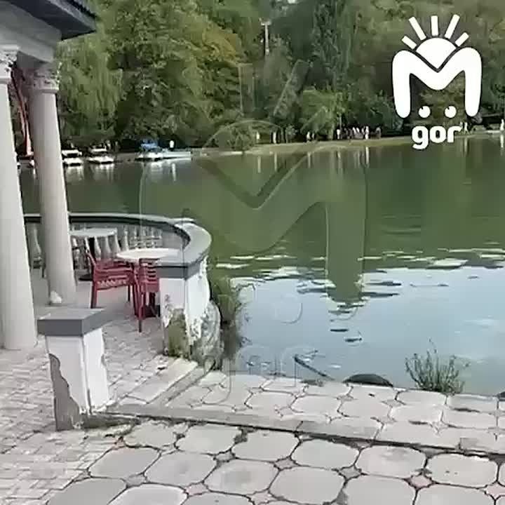 , 11       