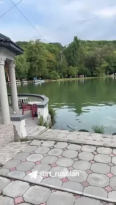    ,   .     
