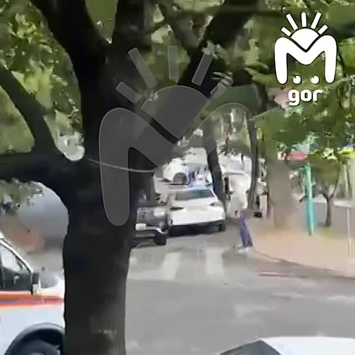      ,   -