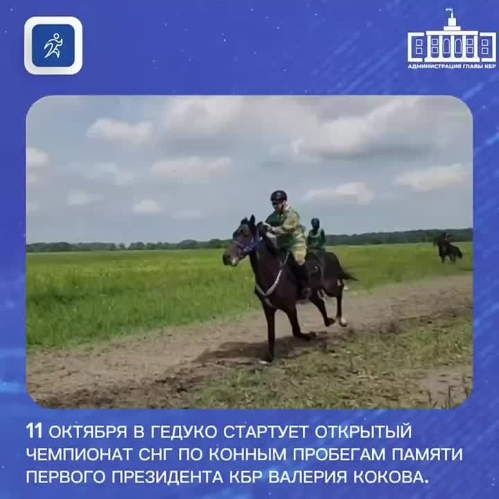 11               -  