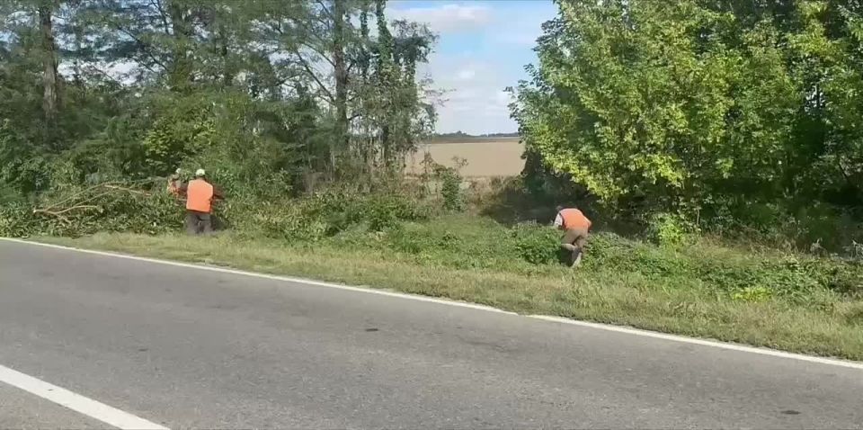        :